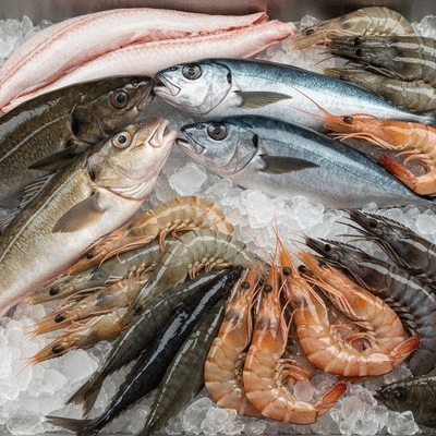 Close-up of a diverse array of fresh, sustainably farmed seafood on ice, ready for market, highlighting economic contribution and quality product, no text, no words, no typography, 8K